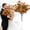 M6_Orange 13.39", variant on ERTZAE Artificial Peony Flowers Small Bouquet,Beige,Faux Floral Arrangement for Indoor Decor Dining Table Centerpiece,Faux Peony Bouquet,Full Bloom Heads,Bendable Stems,for DIY Wreaths Wedding Decor