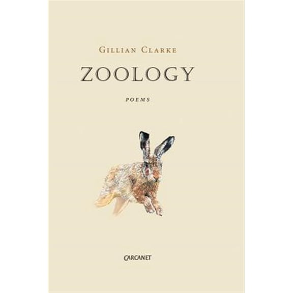 Pre-Owned Zoology (Paperback)
