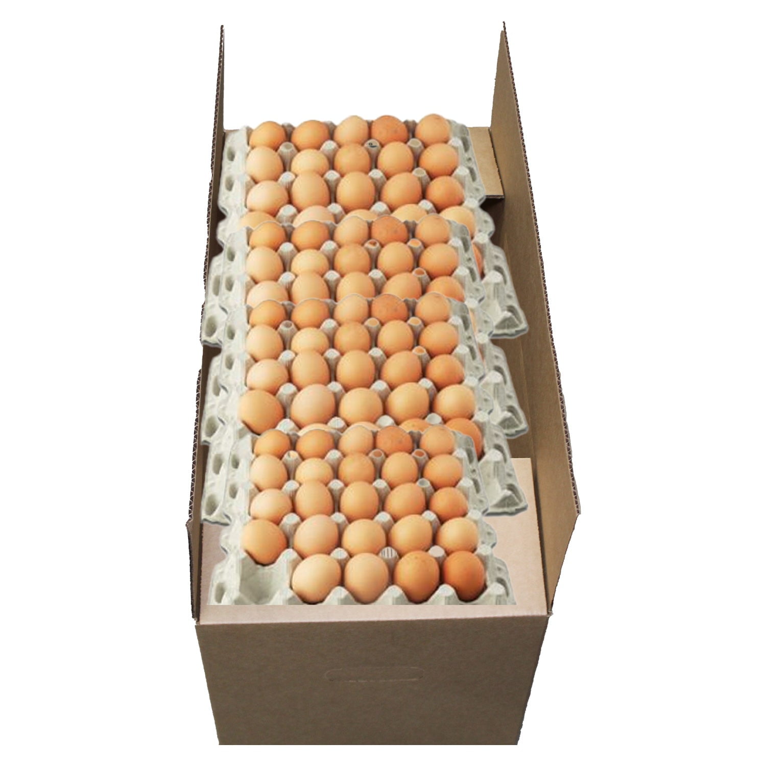 50 Pack Corrugated Cardboard Egg Storage Crates with Handles, ECT32