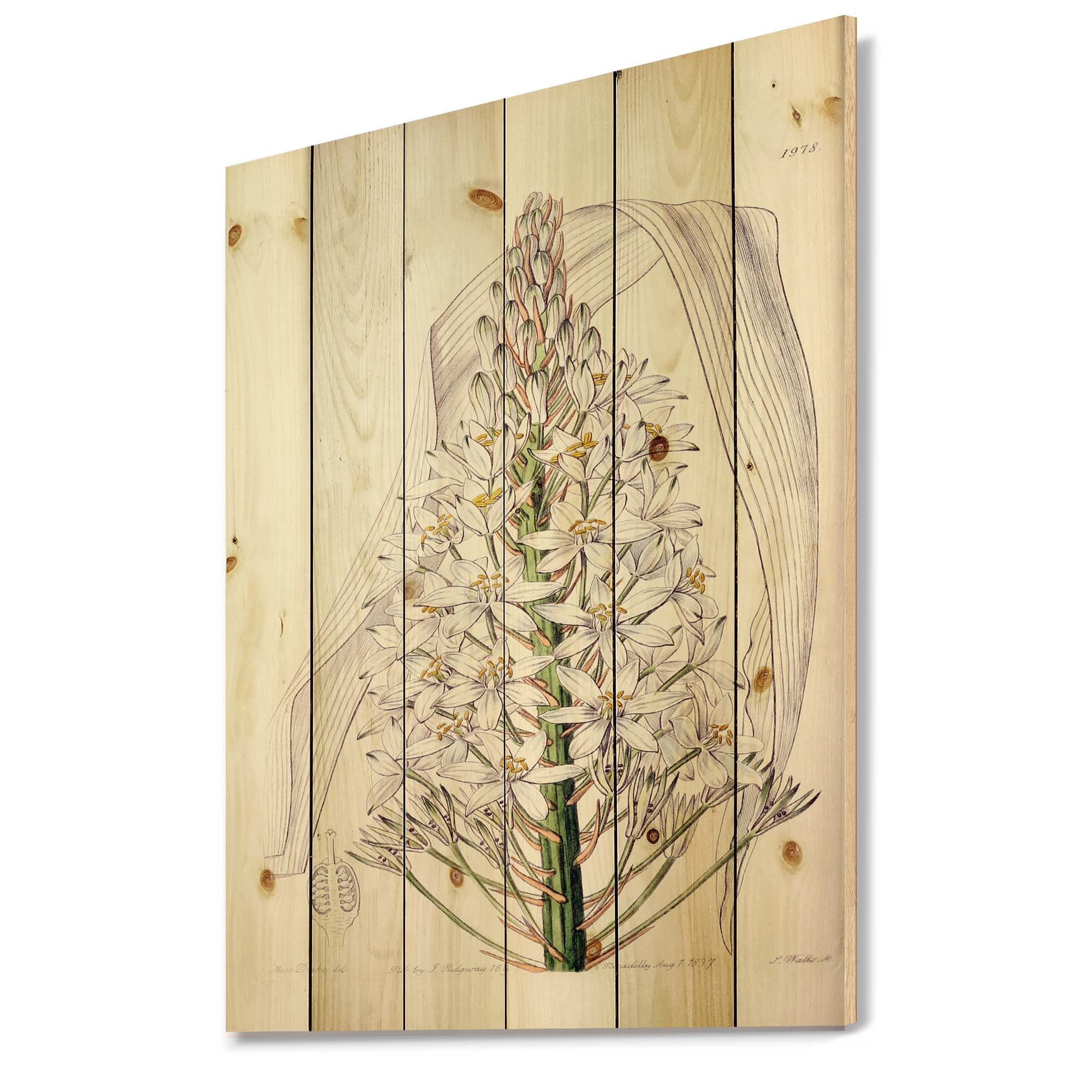 Designart 'White Vintage Orchid I' Traditional Print on Natural Pine Wood