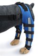 thumbnail image 2 of LLC Blue Double Rear Leg Dog Knee Brace for Extra Support and Joint Warmth, 2 of 4