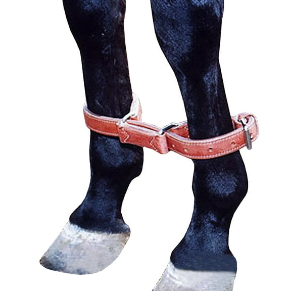 Martin Saddlery Harness Hobbles