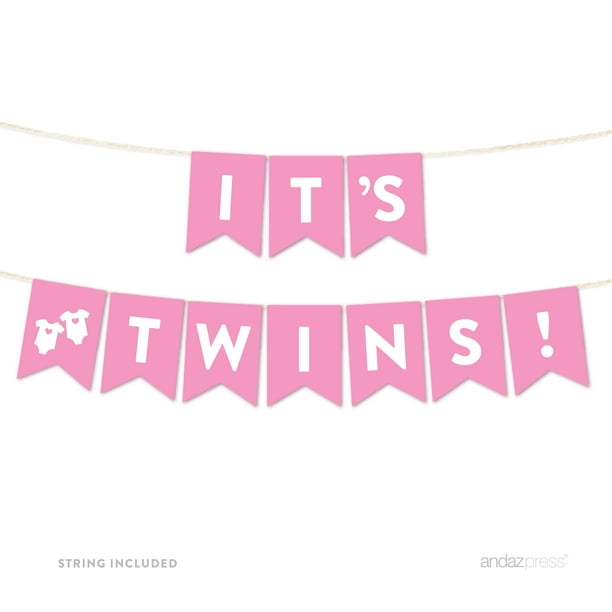 It's Twins! Pink Girl Baby Shower Hanging Pennant Garland Party Banner