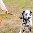 thumbnail image 4 of Pet Leash For Medium Dogs Dog Leash With Innovative Technology Pet Leash Shock Absorbing Dog Traction Rope Comfortable Handles Pet Accessory, 4 of 8