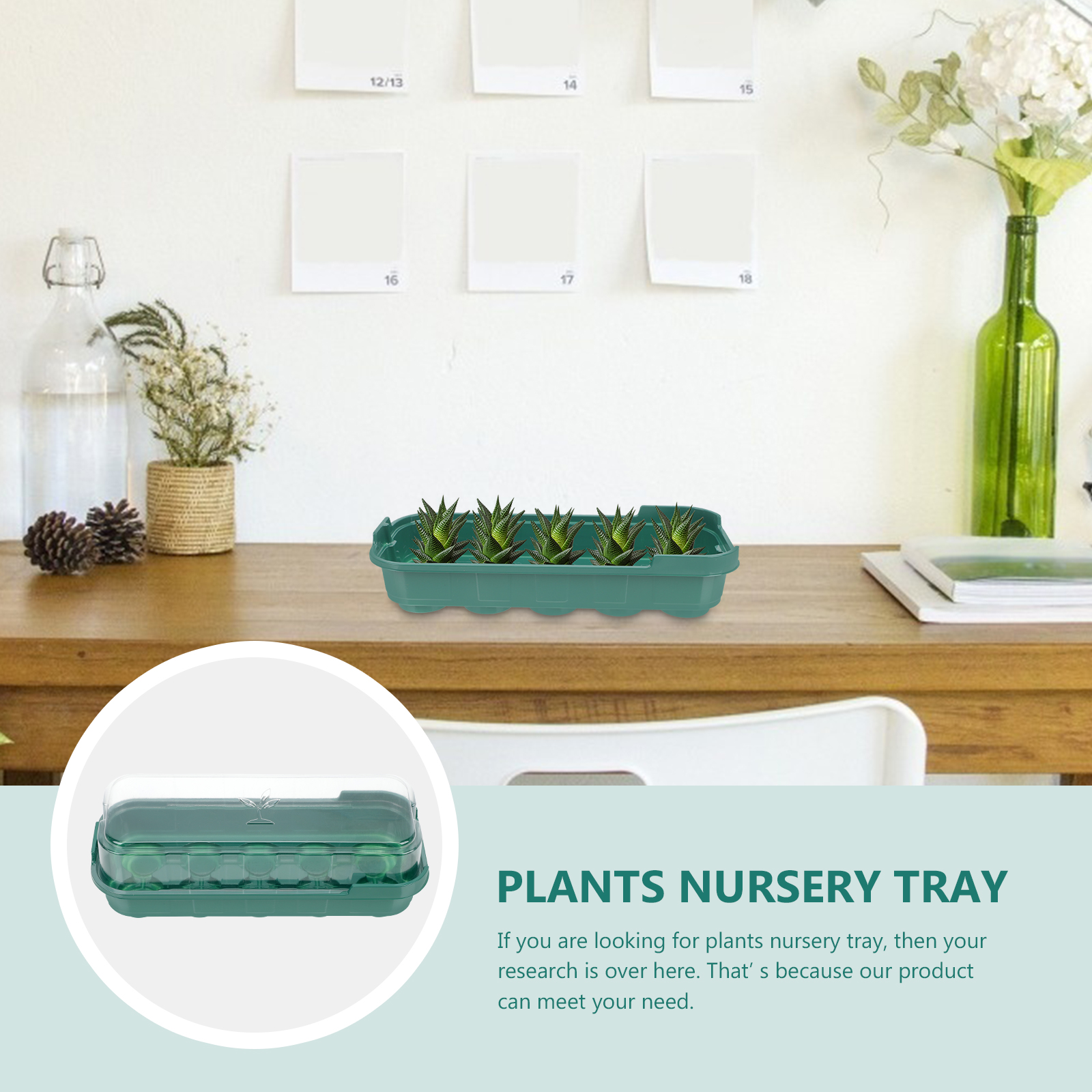 Plants nursery tray 3 Pcs Gardening Plants Nursery Trays Plant Breeding