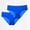 Blue, variant on Womens Purple Seamless Panties No Show Underwear 2-Pack, Low Rise for Workout & Everyday Comfort, Scalloped Edge,Size L