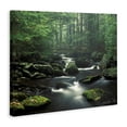 thumbnail image 2 of Stupell Industries Traditional Woodland Creek Landscape Canvas Art, 20 x 16, by Patrick Zephyr, 2 of 7