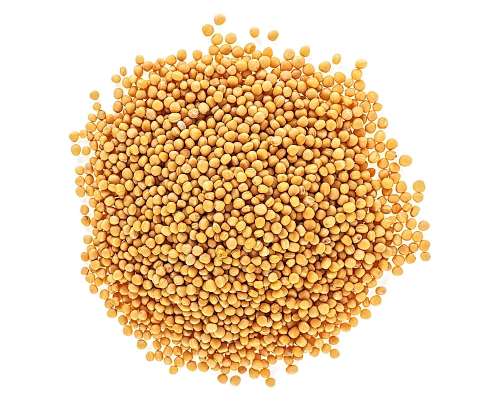 The Mustard Seeds☆Mustard Seeds 716FsYUVzPL._UF350,350_QL50_.jpg