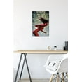 thumbnail image 6 of Marvel Comics - Spider-Woman - Spider-Woman #2 Wall Poster with Pushpins, 14.725" x 22.375", 6 of 6