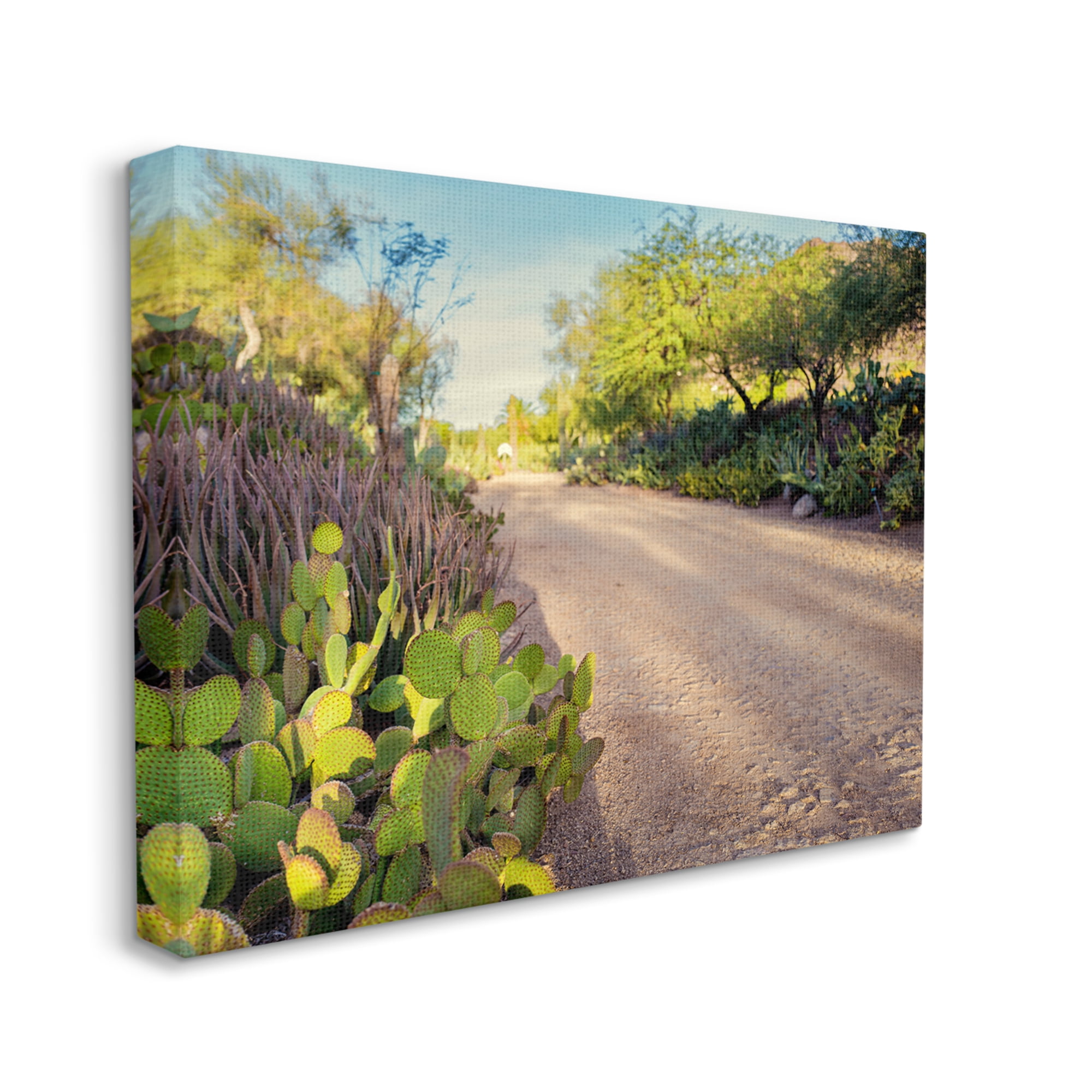 Stupell Industries Roadside Greenery Botanicals Arid Desert Cactus Plants Photograph Gallery Wrapped Canvas Print Wall Art, Design by Bill Carson Photography