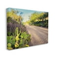thumbnail image 3 of Stupell Industries Roadside Greenery Botanicals Arid Desert Cactus Plants Photograph Gallery Wrapped Canvas Print Wall Art, Design by Bill Carson Photography, 3 of 7