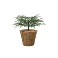 thumbnail image 1 of Feltree Artificial Christmas Tree Pre-Lit with Warm White LED Lights, Battery Operated with Remote Control and Timer, Flame Retardant, Includes Woven Basket Base for Tabletop Holiday Decoration, 1 of 7