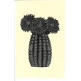 thumbnail image 2 of Carlson, Tina 17x24 White Modern Wood Framed Museum Art Print Titled - Cactus 1BW, 2 of 4