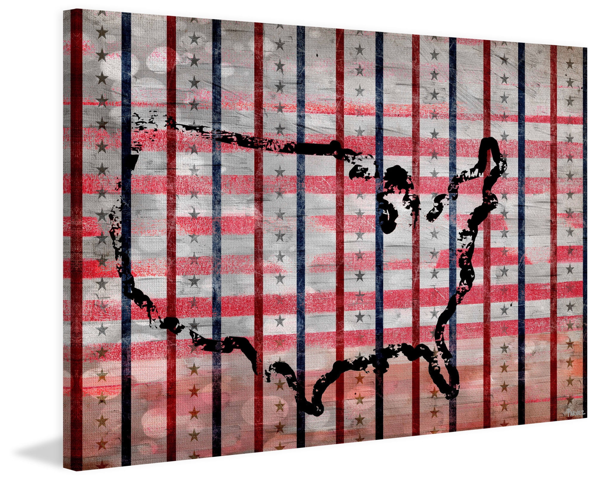 Parvez Taj "USA Outline" Print on Canvas