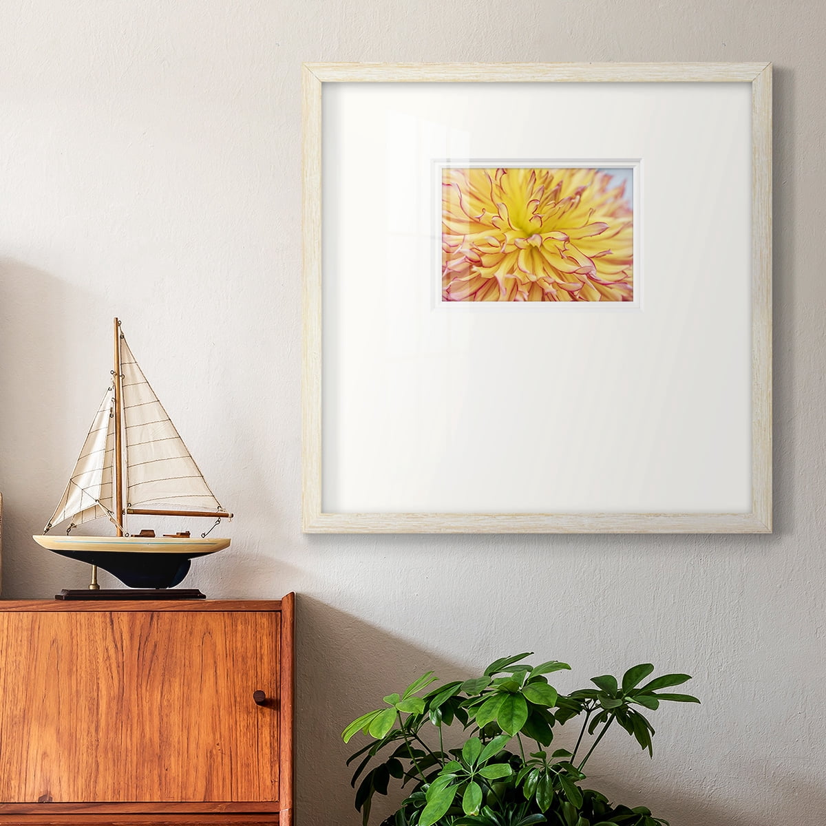 Blooms IIIPremium Framed Print