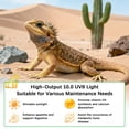 thumbnail image 2 of Kit de Luz UVB para Reptiles JHGKEGKE T8 HO UVB 10.0 15W, 2 of 8