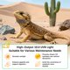 thumbnail image 2 of Kit de Luz UVB para Reptiles JHGKEGKE T8 HO UVB 10.0 15W, 2 of 8
