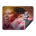 thumbnail image 2 of Allyson Tapis de Comptoir Séchage Rapide Felix.16"x18 Pouces, 2 of 8