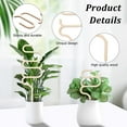 thumbnail image 4 of Wood Vine Plant Support Monstera Leaf Shape Garden Stakes Blanched Almond 249~397x124~132x4mm 4pcs/set, 4 of 6