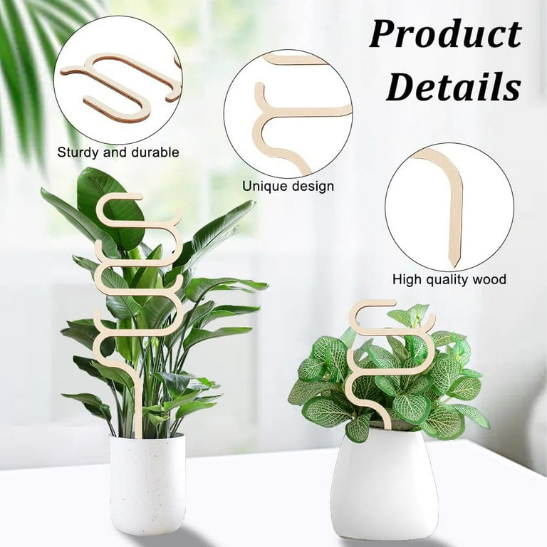 6Pcs 3 Style Wood Plant Trellis Stripe Shaped Wood Trellis for Potted  Plants Small Indoor Plant Trellis Wood Vine Plant Support for Climbing  Plants ...