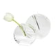 thumbnail image 1 of Vaso Bud Vase TIZO Design, transparente y elegante, redondo, de cristal grande, 1 of 6