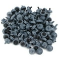 thumbnail image 2 of 100PCS/Bag 4L Drip Irrigation Pressure Compensating Emitter Irrigation Equipment, 2 of 5