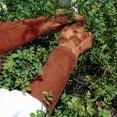 thumbnail image 3 of Rose Pruning Thorn-Proof Gardening Gloves with Forearm Protection for Men and Wo S, 3 of 8