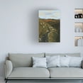 thumbnail image 2 of Trademark Fine Art Charlotte Trudgett Connemara National Park Canvas Wall Art, 2 of 4