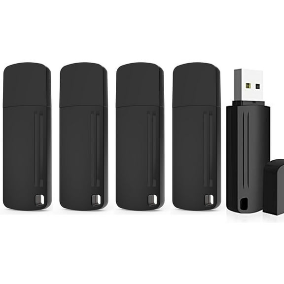 RAOYI 5 Pack USB Flash Drives 4 GB Memory Stick Thumb Drive Pen Drive for PC Computer Laptop