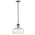 thumbnail image 5 of IN21251BK-Acclaim Lighting-Torrel 1-Light Pendant - 13.75 Inches Wide by 11.25 Inches High-Matte Black Finish, 5 of 5