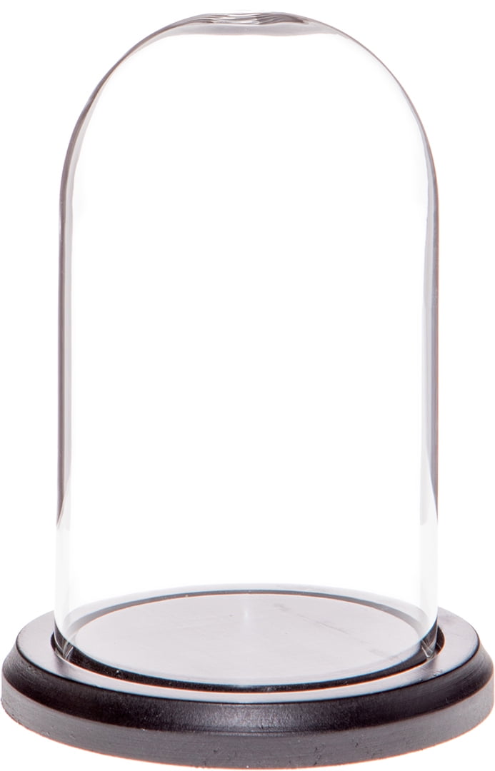 Plymor 3" x 5" Glass Display Dome Cloche (Black Wood Base)
