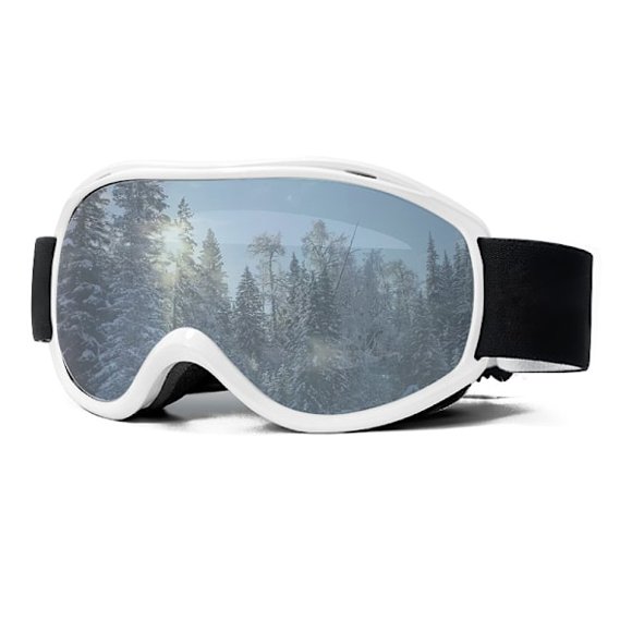 Double Layer Anti-Fog Ski Goggles, Ski Sports Equipment, Outdoor Men And Women Free Storage Box