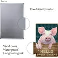 thumbnail image 3 of Letrero de hojalata divertido con texto en inglés "Hello Sweet Cheeks", diseño vintage de cerdo, para decoración de pared para oficina, hogar, baño, inodoro, regalo de decoración de granja, 12 x 8, 3 of 7