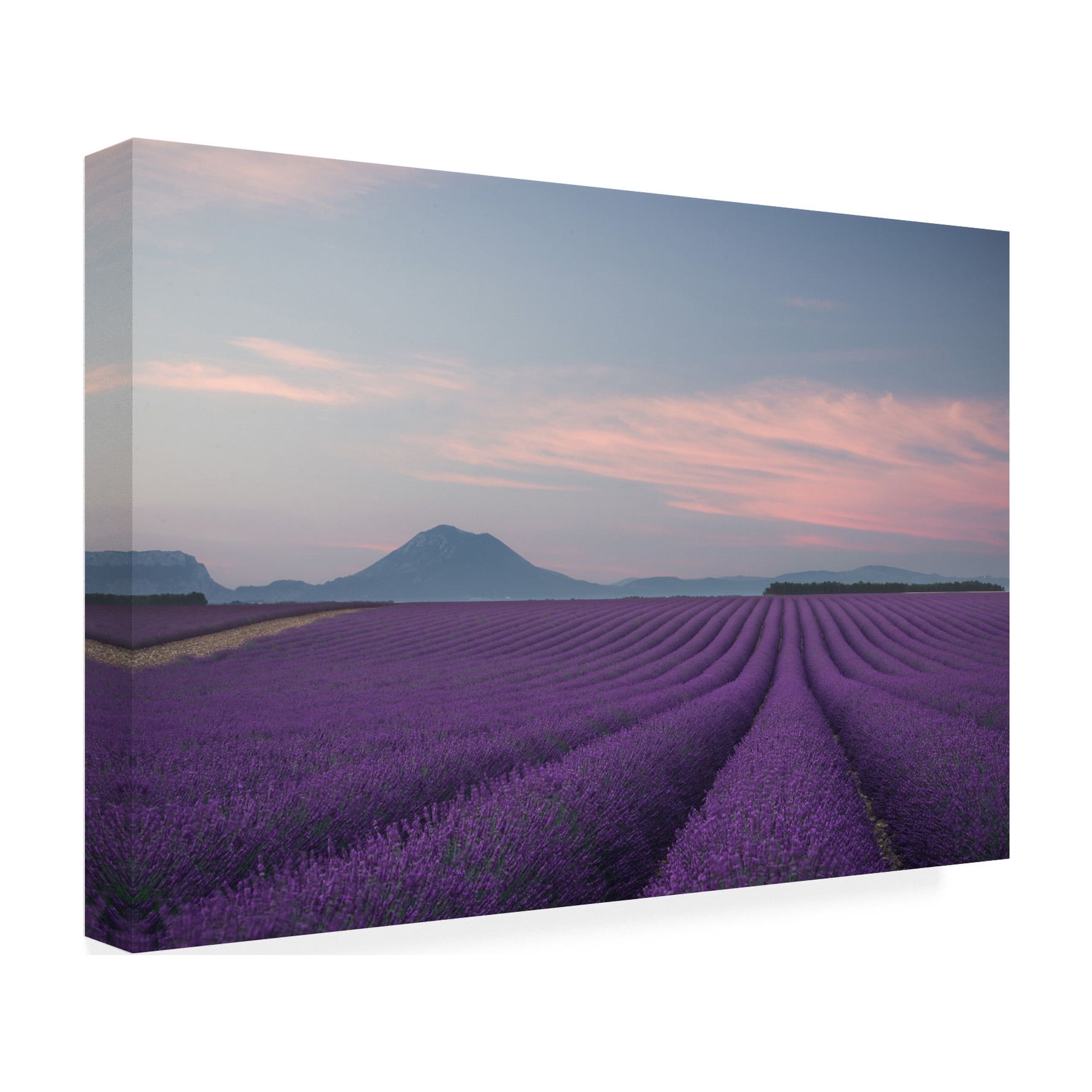 Rostovskiy Anton 'Lavender Field' Canvas Art