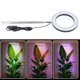 thumbnail image 1 of Lámpara De Cultivo Ajustable En Altura, 10 Niveles Regulables aleación De Aluminio PP Planta De Espectro Completo Luz De Cultivo Negro Fácil De Instalar Pantalla De 6 Pulgadas, 1 of 7