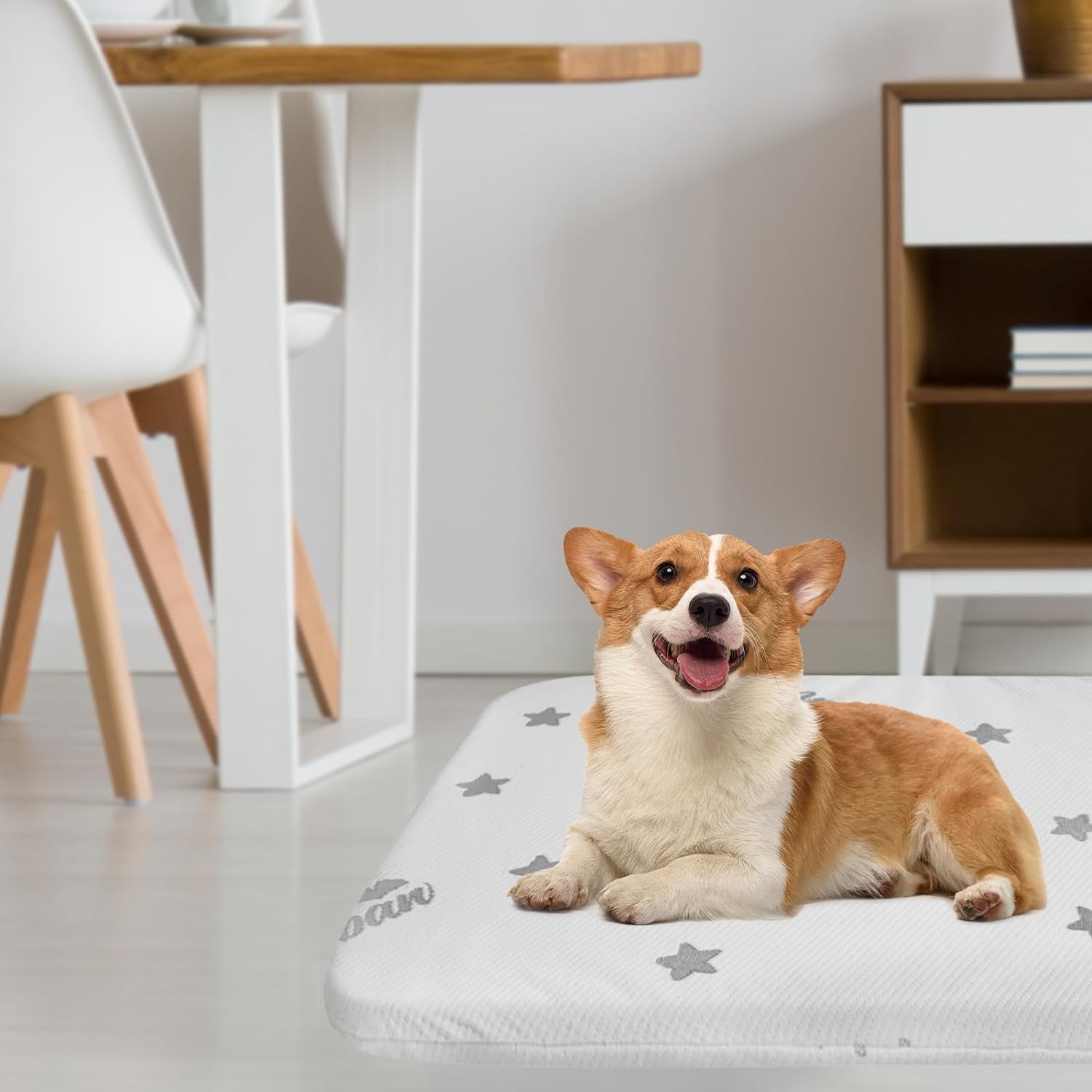 General Waterproof Dog Beds for (Large) Dogs, Washable Mat Pad, Memory Foam Dog Beds & Furniture for Small/Medium Large/XL/XXL Pet with Removable Cover (Light Grey)