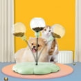 thumbnail image 5 of Cschome Cat Toys Interactive Cat Feeder Toys Cat Feeder Spring Toys Indoor Cat Toys, 5 of 7