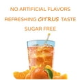 thumbnail image 7 of Crystal Light Citrus On-The-Go Powdered Drink Mix with Caffeine, 10 ct - 0.09 oz Packets (Pack - 4), 7 of 7