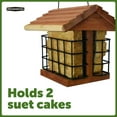 thumbnail image 5 of Pennington Red Cedar 2 Cake Suet Station Wild Bird Suet Feeder, 2 Pack, 5 of 12