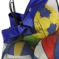 thumbnail image 4 of Maleta Balonera Vertical FIRE SPORTS Azul Rey, 4 of 4
