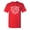 Red, variant on Good Tidings And Cheer To Hell With This Year Sarcastic Humor Graphic Novelty Funny Tall T Shirt