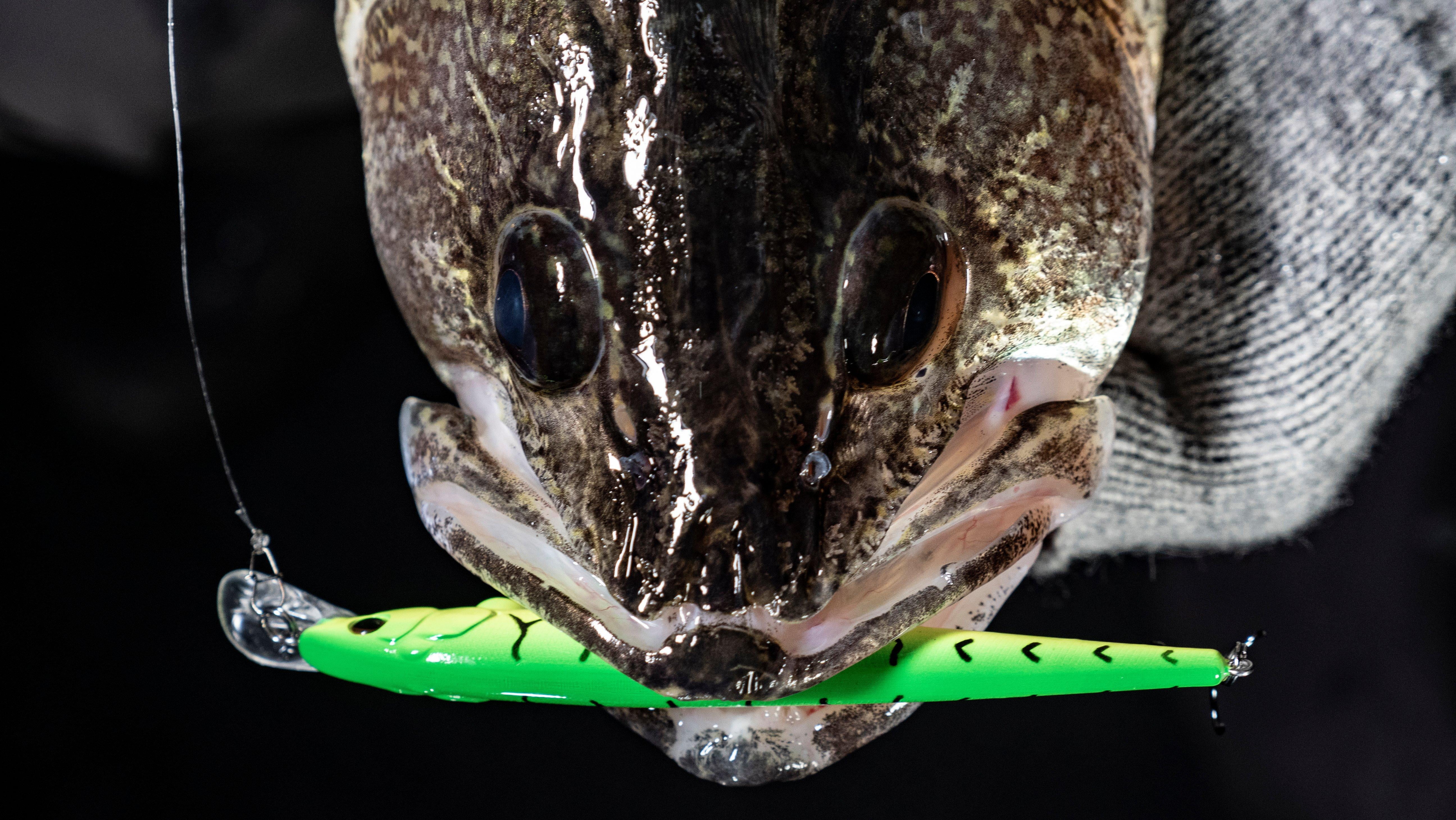 Berkley Hit Stick Fishing Lure, Black Silver, 1/4 oz