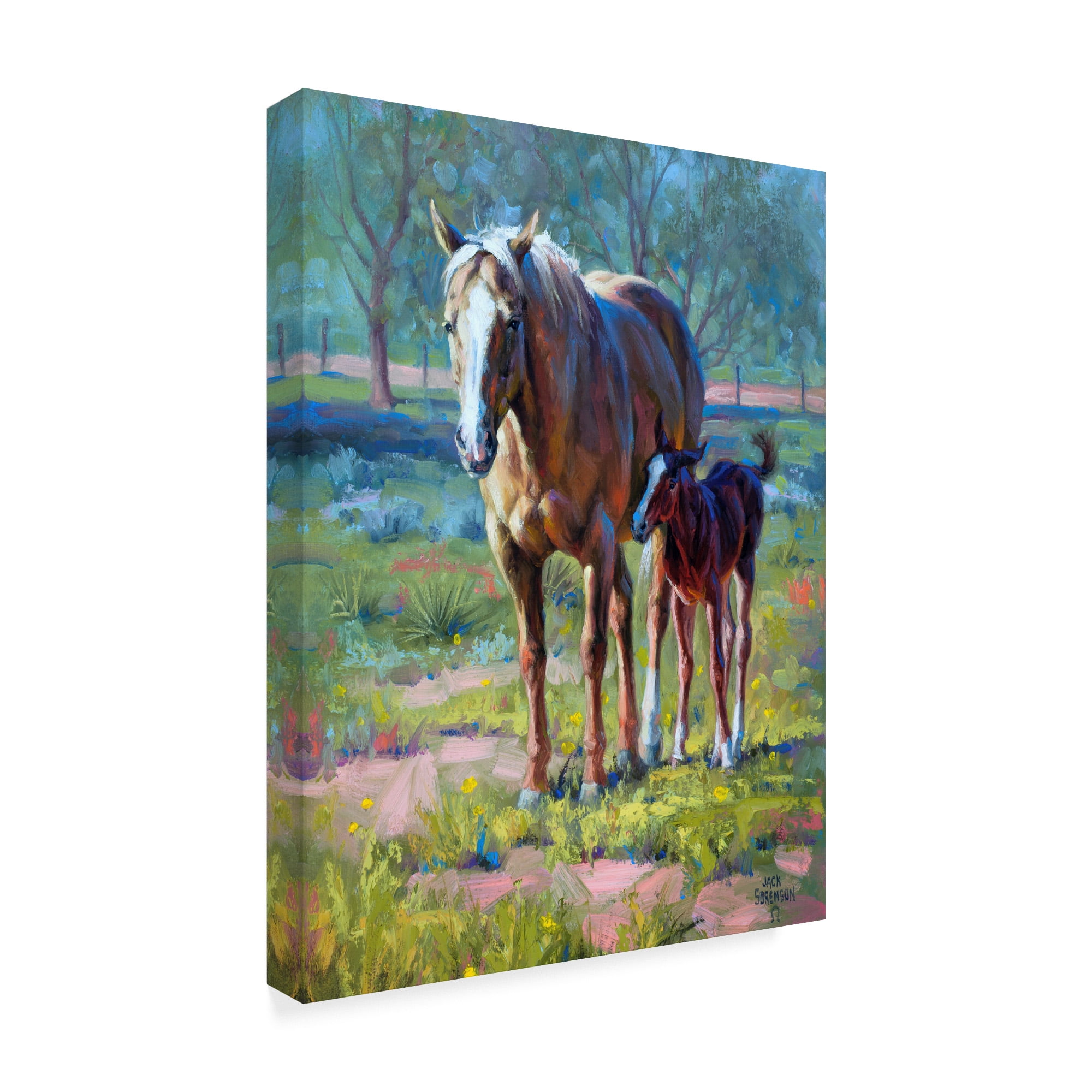 Trademark Fine Art 'Made in the Shade' Canvas Art by Jack Sorenson