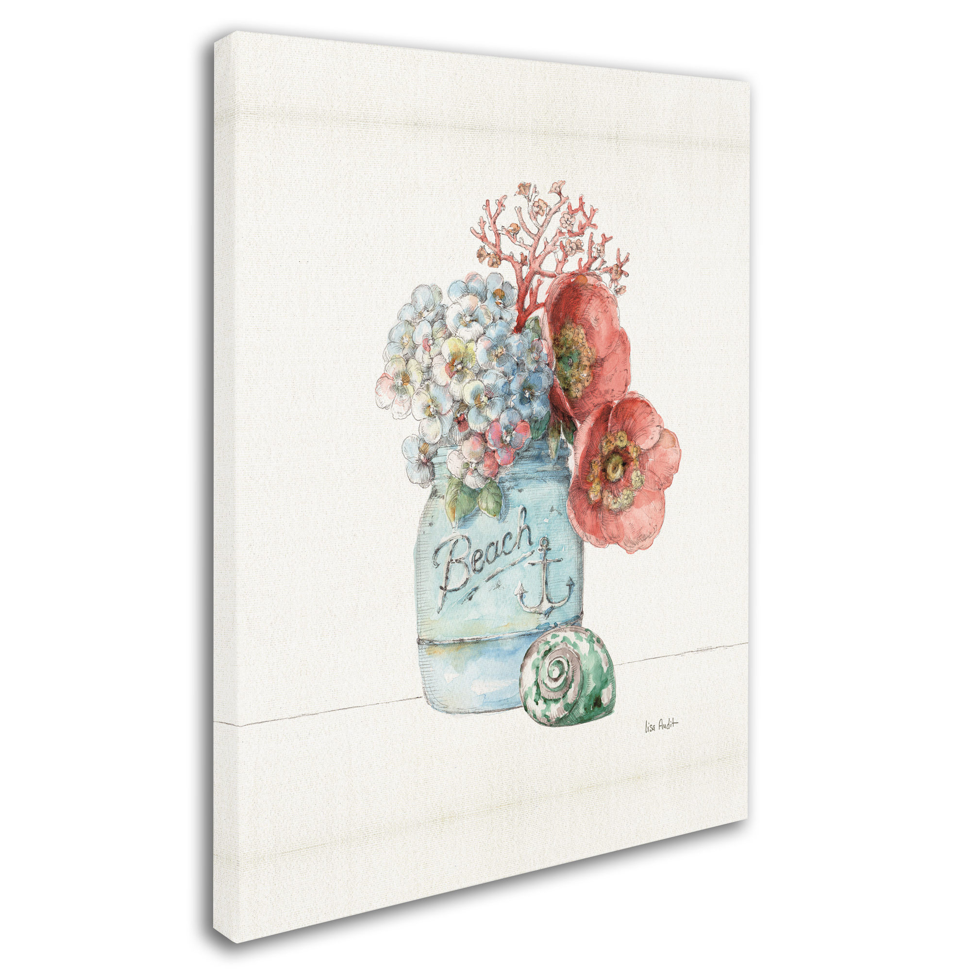 Trademark Fine Art 'Sea Finds I' Canvas Art by Lisa Audit