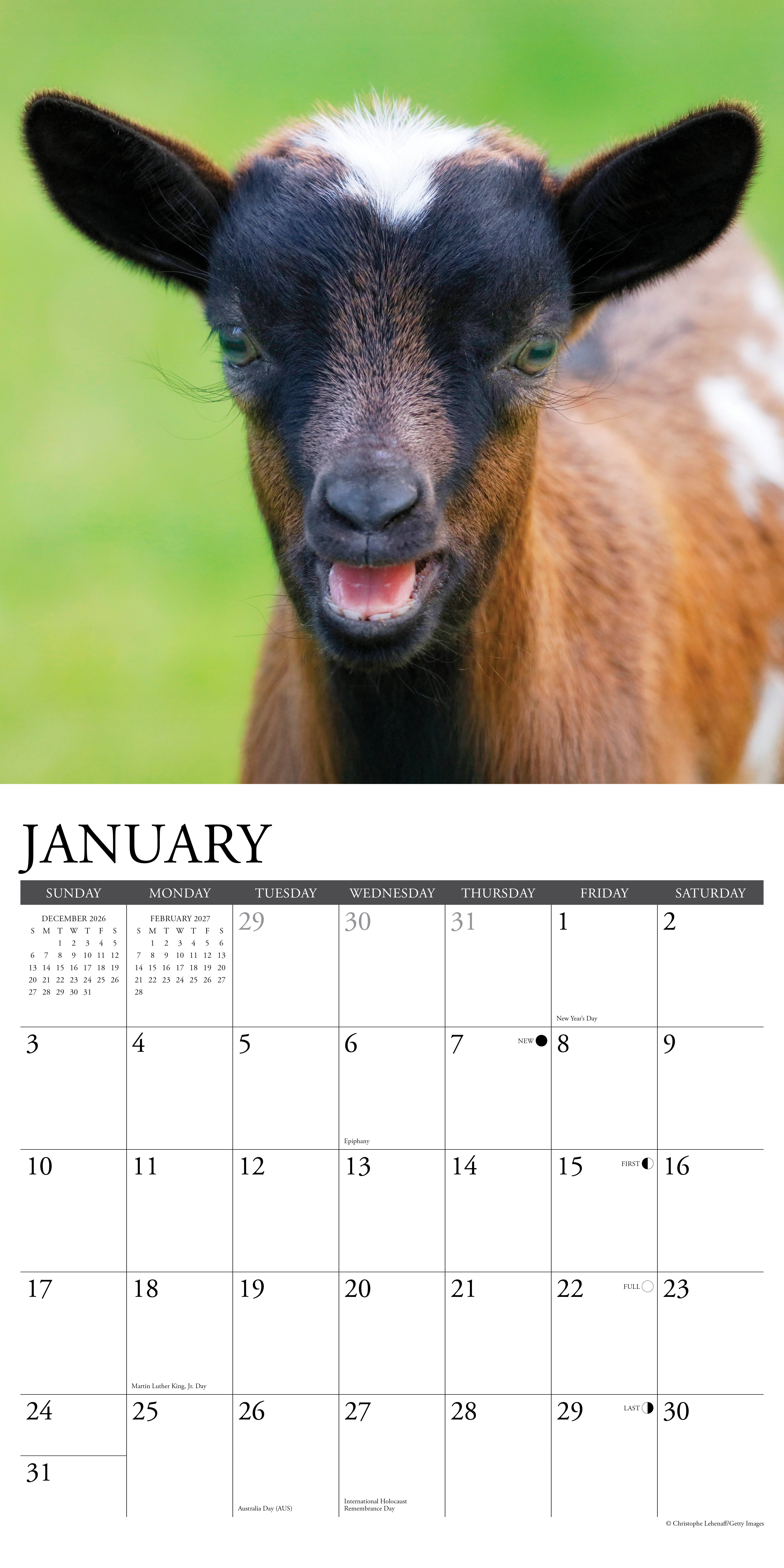 Willow Creek Press, Baby Goats 2027 Wall Calendar