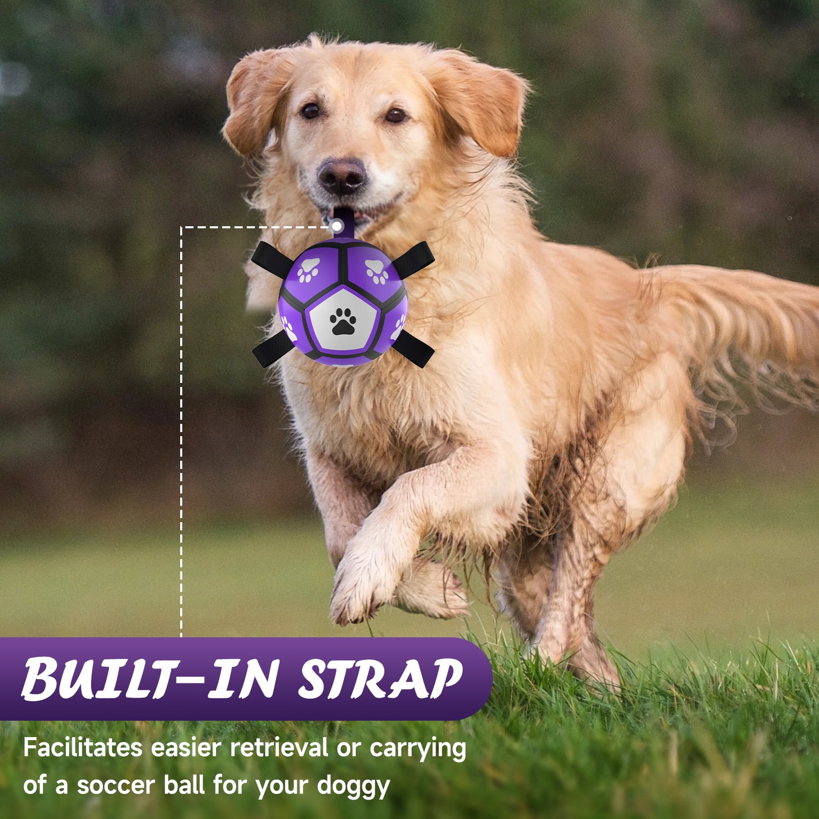 QDAN Durable Dog Toys Soccer Ball with Nylon Straps Hand Pump for Puppies Small Dogs, Purple & Gray, 5-inch