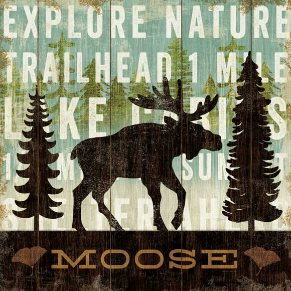 Simple Living Moose Poster Print by Michael Mullan (12 x 12)