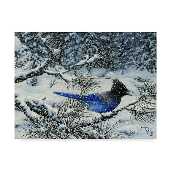 Trademark Fine Art 'Winter Jay' Canvas Art by Jeff Tift
