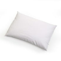 Buckwheat Bed Pillow - 19" x 26" White (No Pillow Case)