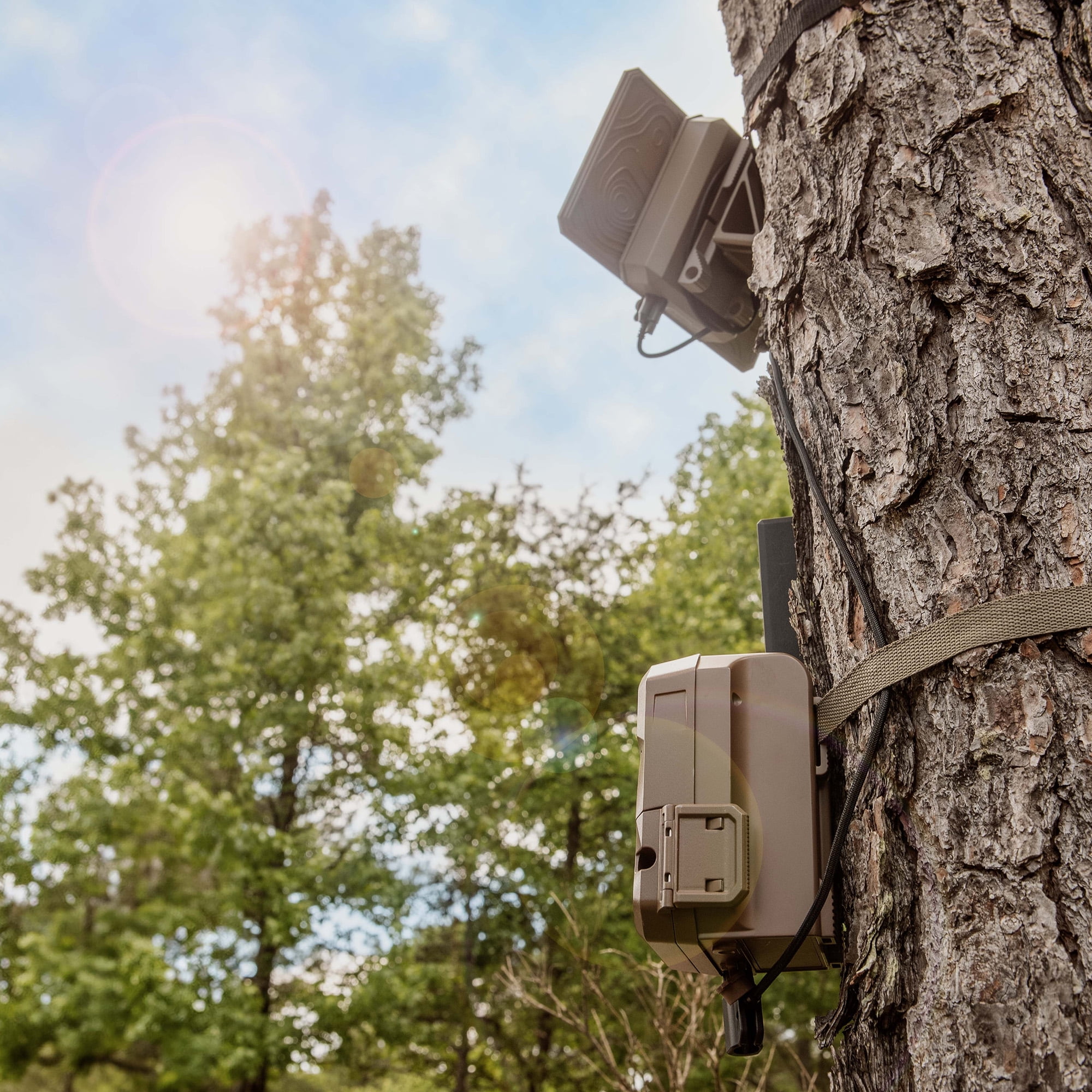 Moultrie 3.4 Watt Solar Power Pack for Trail Cameras - 3350mAh Battery Pack - USB-C Connection